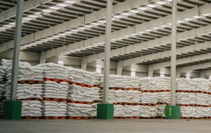 Pupuk di Jatim Terserap 45 Persen