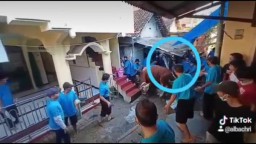 Sapi di Surabaya Mengamuk Sebelum Disembelih, Dua Orang Ditendang Atap Rumah Ambruk