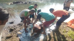 Buang Air di Sungai Brantas, Warga Purwoasri Kediri Temukan Mayat Wanita Tengkurap