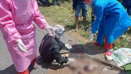 Bayi Dibuang di Jalan Mantup Lamongan, Dilindas Truk hingga Tercecer