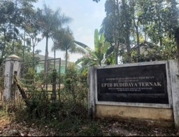 UPT Dinas Peternakan Kab.Pasuruan Dinilai Tak Ada Manfaat