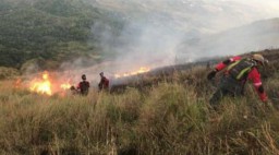 Pasca Kebakaran, Seluruh Jalur Pendakian Gunung Penanggungan Tutup
