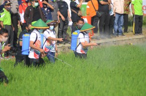 PG Gelar Semprot Masal Pupuk NPK di Banjarnegara