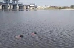 BREAKING NEWS : Dua Mayat Mengapung di Bendung Gerak Sembayat