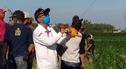 Festival Layang-Layang di Bojonegoro Diharap Dongkrak Wisata Desa