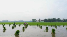 Banyak Pengangguran Balik ke Desa, Pemkab Bojonegoro Siapkan Program Padat Karya