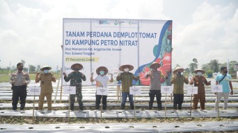 Petrokimia Rekomendasikan Tanaman Pangan Gunakan NPK Petro Nitrat