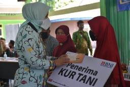Bupati Jember Bagikan JPS dan Tuntaskan Kartu Tani