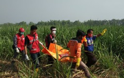 Mayat Tinggal Tulang Ditemukan di Kebun Tebu Mojokerto, di Sampingnya Ada Selimut dan Rok