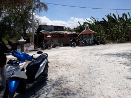 Kades Suci dan 4 Lainnya Dilepas Polisi Alasannya Tidak Cukup Bukti dan Tidak Ketemu Bandar Judi Sabung Ayam