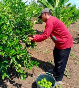 Ketua DPRD Gresik Minta Perusahaan Serap Produk Petani Lokal