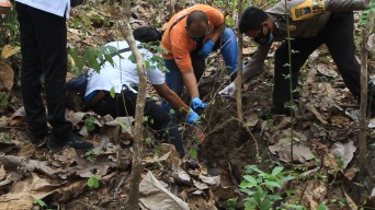 Mayat Tanpa Busana, Membusuk di Hutan Kemlagi Mojokerto