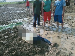 Petani di Sugihwaras Bojonegoro Meninggal di Sawah Sambil Pegang Cangkul