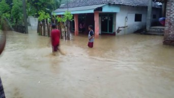 Hujan Terus Menerus, Puluhan Rumah Warga Probolinggo Kebanjiran