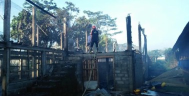 Kandang Dilalap Api, 6 Ribu Ayam Berubah Jadi Ayam Bakar