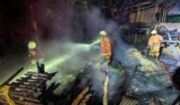 Kandang Kebakaran, 400 Ekor Bebek di Bojonegoro Terpanggang