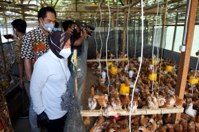 Hutan Raya Lempung di Sambikerep Surabaya Diresmikan Wali Kota Risma