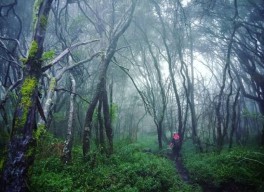 Misteri Gunung Butak Malang (Part I)