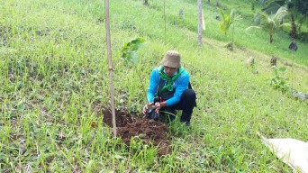 Hujan dan Medan Tanjakan Tak Halangi Reboisasi Blok Danau Kastoba Bawean
