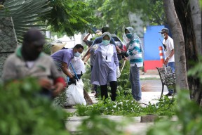 Risma Beberkan Alasan Banyak Tanam Pohon Beserta Teori Perantingannya