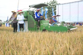 Dongkrak Produktivitas Pertanian, Pupuk Kaltim Bersinergi Program Agro Solution di Banyuwangi