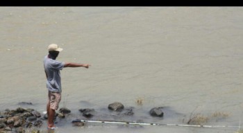 Buaya Sepanjang 2 Meter Muncul di Sungai Porong