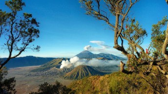 Jawa Timur Segera Bangkit 2021