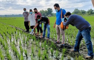 Tikus yang Dijebak, Petani Ngawi yang Tewas Tersengat
