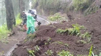 Jalur Bromo-Tosari Pasuruan Putus Tertutup Longsor