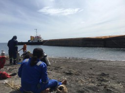 Tongkang Pengangkut Tenggelam, Bahan Baku Semen Bosowo Cemari Laut