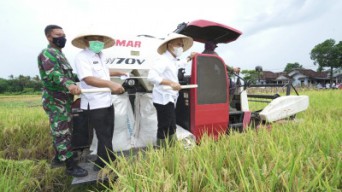 Tahun 2020, Sektor Pertanian Padi Banyuwangi Alami Surplus