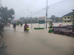Permukiman Warga dan Area Persawahan di Bawean Terendam Banjir