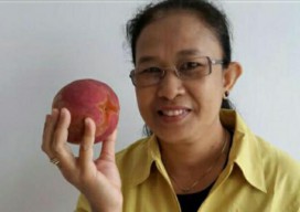 Dokter Puskesmas Sukomulyo Manyar Meninggal Usai Jalani Perawatan Karena Covid-19