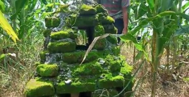 Disparbud Lamongan Kunjungi Lokasi Batu Bata Kuno di Sekitar Makam Ibunda Mahapatih Gajah Mada