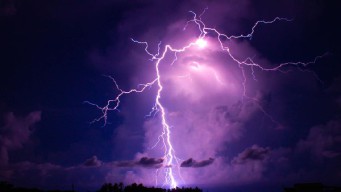 Nekat Panen saat Hujan Deras, Ajal Buruh Tani di Pasuruan Dijemput Petir