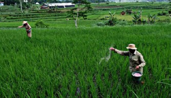 Nilai Tukar Petani Jawa Timur Februari 2022 Turun 0,59 Persen