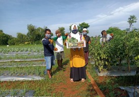 Lahan Tandus di Bangkalan Berubah Jadi Penghasil Tanaman Hortikultura Setelah Ikuti Program Eco Edufarming PHE WMO