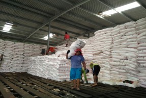 Pemkab Sumenep Tingkatkan Pengawasan Distribusi Pupuk Subsidi