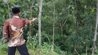 Petani di Magetan Tewas Setelah Disengat Tawon Vespa