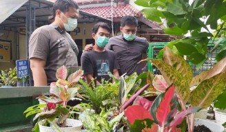 Koleksi Tanaman Hias, Pemuda Ini Justru Ditangkap Polres Lamongan