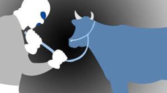 Sapi Rp 20 Juta Milik Warga Leces Probolinggo Dicuri, Diduga Pelaku Pakai Mobil Avanza