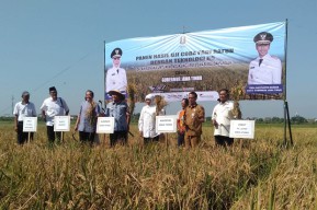Tahun 2021, Alokasi Pupuk Subsidi Bagi Petani Jatim Naik Jadi 2.804.823 Ton