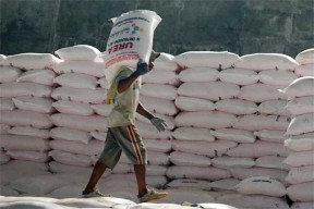 Jatah Pupuk Subsidi Jatim Turun 62 Ribu Ton