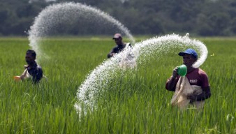 Wilmar Group Kuasai Produksi Pupuk Non Subsidi di Indonesia