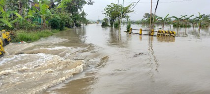 Langganan, Enam Desa di Kecamatan Benjeng Terendam Luapan Kali Lamong