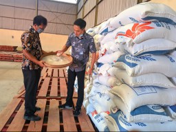 Harga Gabah di Bojonegoro Anjlok, Ini Jawaban Bulog