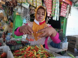 Harga Cabai Rawit di Gresik Terus Naik, Bulan Ramadhan Kemungkinan Masih Tinggi