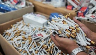Bea Cukai Malang Terus Gempur Perusahaan Rokok Ilegal