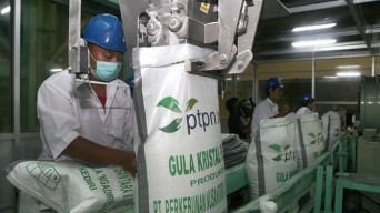 Holding Perkebunan Siap Beli Gula Petani Rp 11.500 Perkilogram