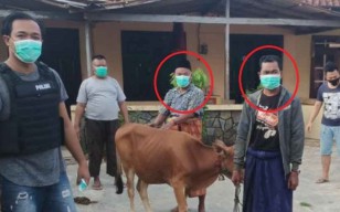 Dua Maling Sapi Dibekuk Polsek Kangean Sumenep